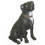 動物 オブジェ 誇り高きテリア スタッフォードシャー・ブル・テリア インテリア イベント ディスプレイ Staffordshire Terrier 36,300円