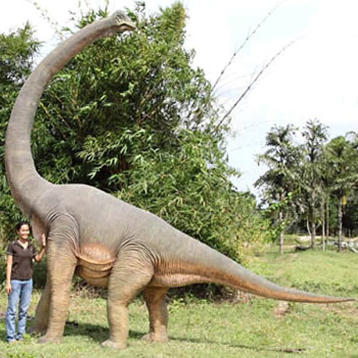 実物大 恐竜 オブジェ ブラキオサウルス インテリア イベント ディスプレイ