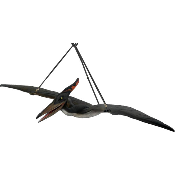 乐天商城 - 恐竜 オブジェ ベビープテラノドン インテリア イベント ディスプレイ Baby Pteranodon