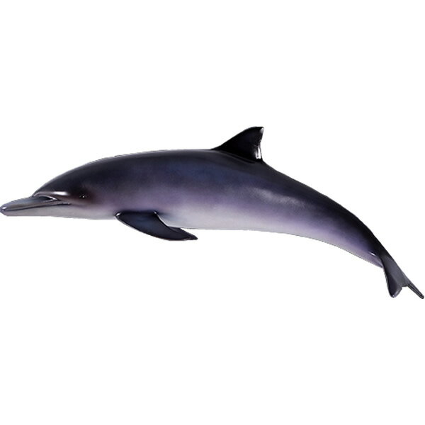 乐天商城 - 動物 オブジェ イルカ インテリア イベント ディスプレイ Dolphin
