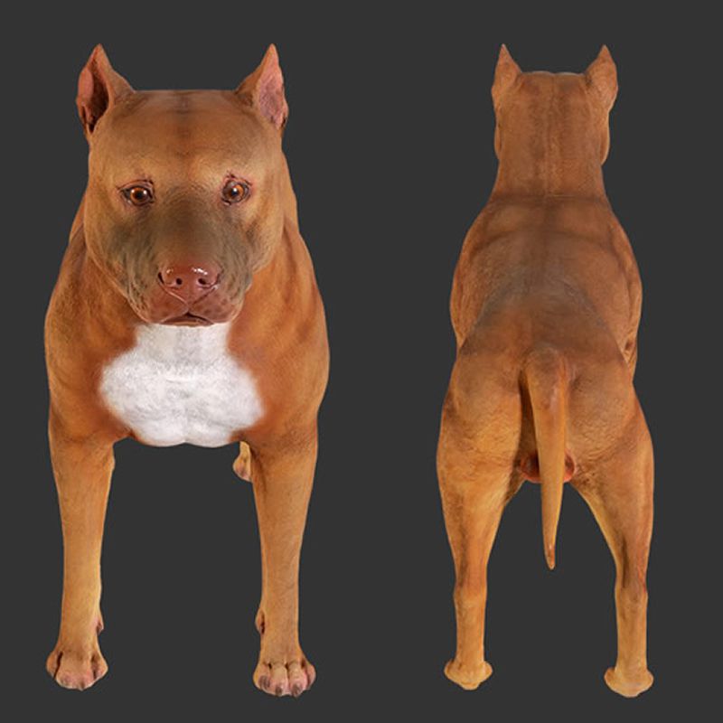 実物大 動物 オブジェ ピットブル インテリア イベント ディスプレイ 犬 イヌ いぬ ドッグ ガーデニング 玄関 飾り 2