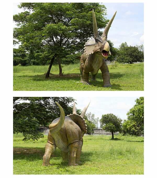 恐竜 オブジェ 巨大トリケラトプス インテリア イベント ディスプレイ Giant Triceratops 3