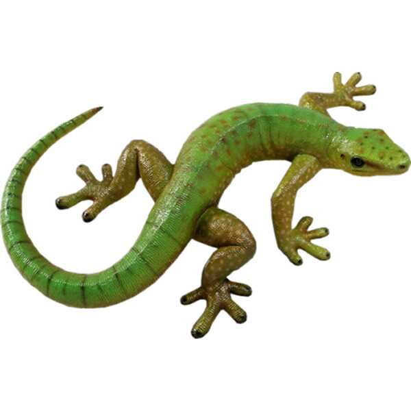 樂天商城 - オブジェ ヤモリ 60cm インテリア イベント ディスプレイ Gecko 60cm