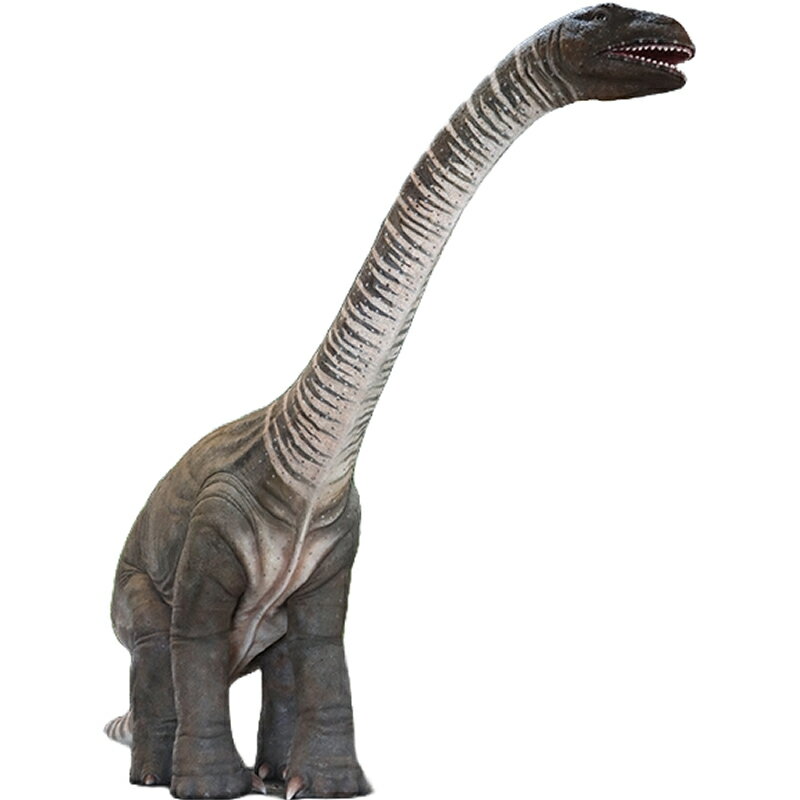 ��ε ���֥��� ��򿭤Ф������ȥ����륹 ����ƥꥢ ���٥�� �ǥ����ץ쥤 Rhoetosaurus Brownei