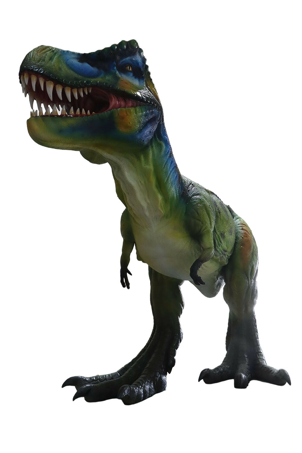 ��ε ���֥��� ���祮����ȡ��ƥ�����å��� Giant T-rex 9meters