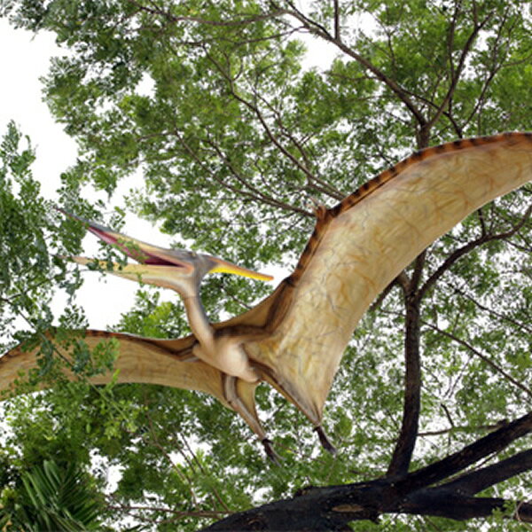 乐天商城 - 恐竜 オブジェ 巨大プテラノドン インテリア イベント ディスプレイ Giant Pteranodon