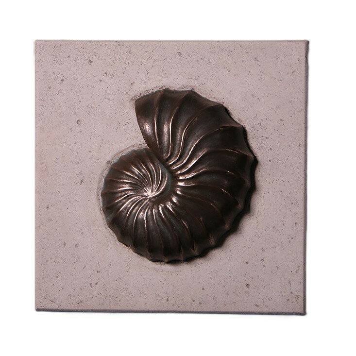 乐天商城 - オブジェ アンモナイト 壁掛け ブロンズ仕上げ インテリア イベント ディスプレイ Nautilus Wall Plaque