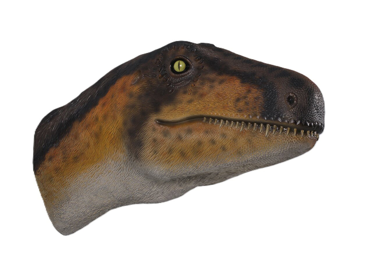乐天商城 - 恐竜 オブジェ テラポッドの頭部 壁掛け ブロンズ インテリア イベント ディスプレイ Theropod Head Wall Decor