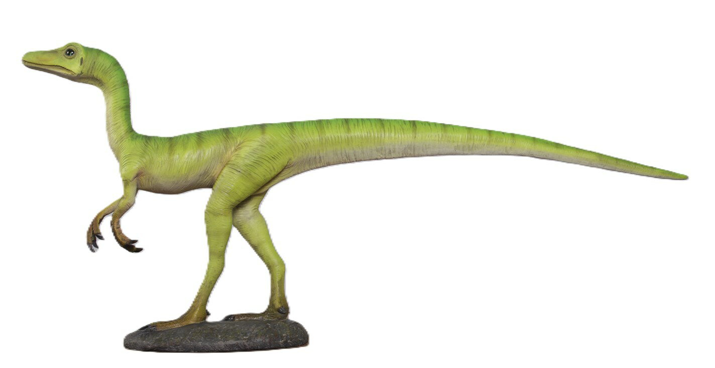 樂天商城 - 恐竜 オブジェ コンプソグナトゥス インテリア イベント ディスプレイ Compsognathus