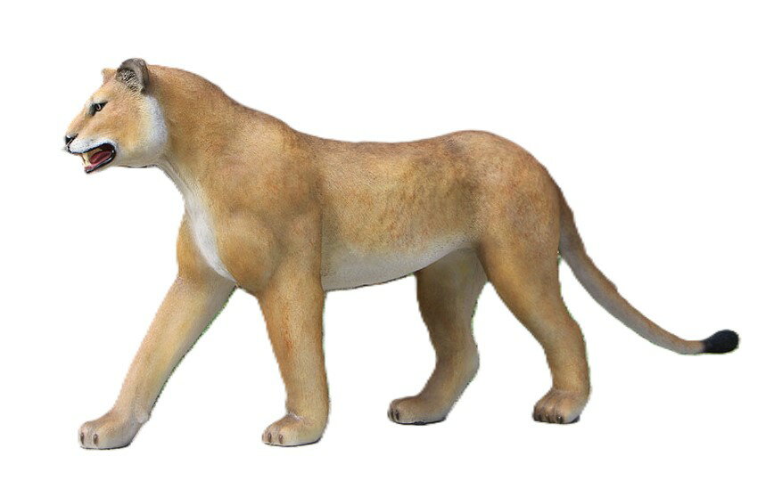 樂天商城 - 動物 オブジェ 歩く雌ライオン インテリア イベント ディスプレイ Walking Lioness