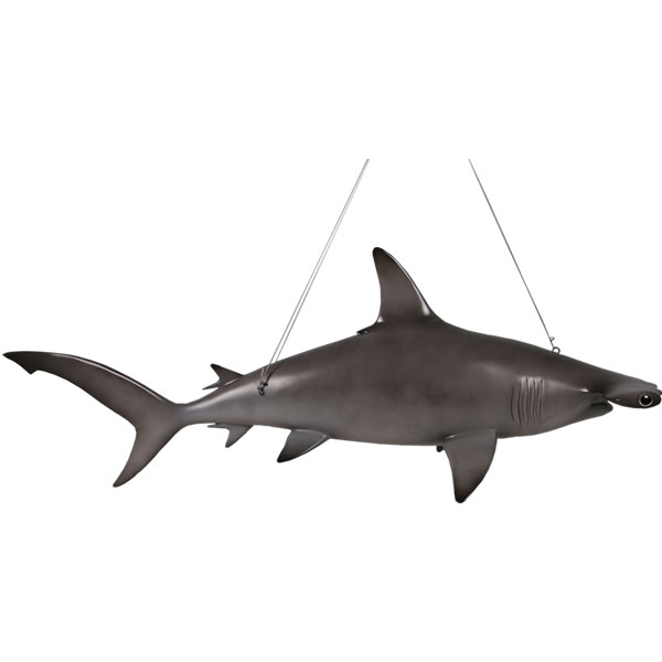 乐天商城 - 動物 オブジェ ハンマーヘッドシャーク インテリア イベント ディスプレイ Hammerhead Shark