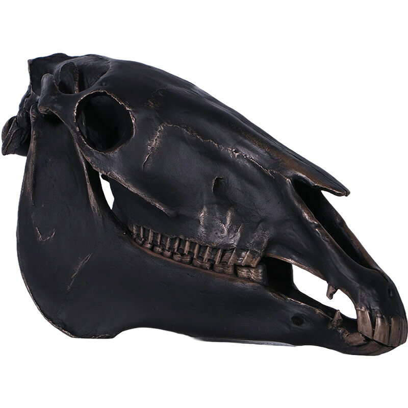 乐天商城 - 動物 オブジェ 馬の頭骨 壁掛け ブロンズ仕上げ インテリア イベント ディスプレイ Horse Skull