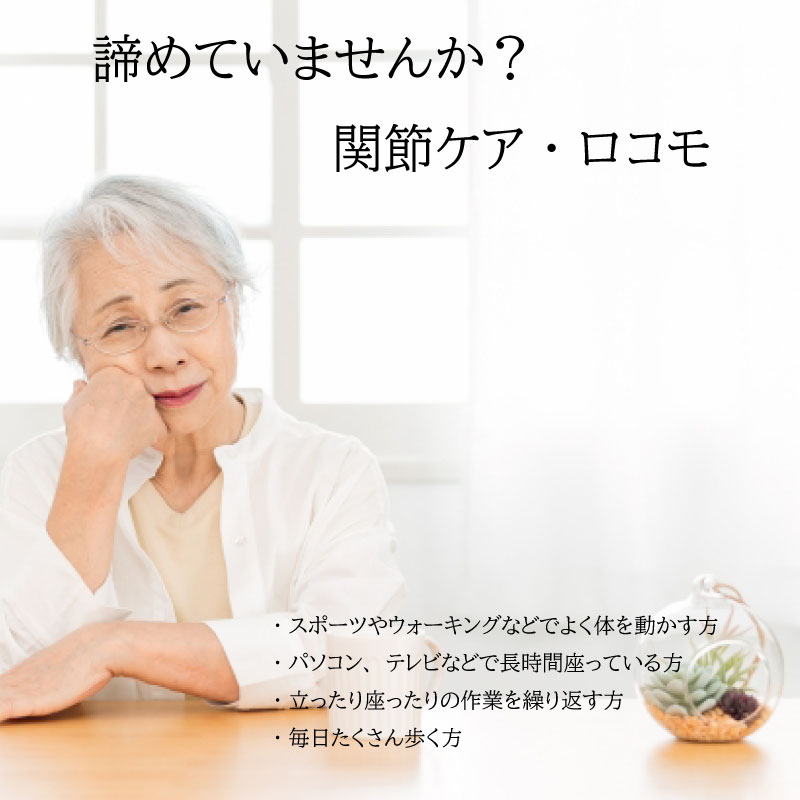 II型コラーゲン プロテオグリカン グルコサミン コンドロイチン 3gx30袋 箱なし 2