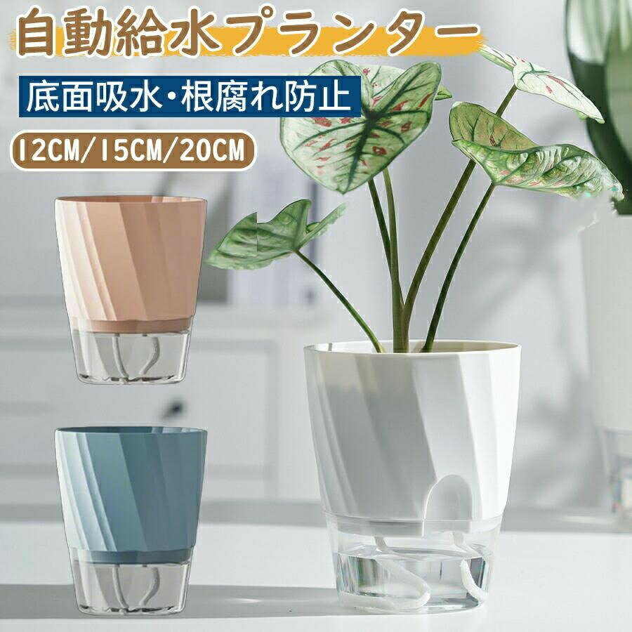 Rakuten - 自動給水 植木鉢 底面吸水 プランター 水耕栽培 観葉植物 多肉植物 ハーブ サボテン 室内 屋外 インテリア おしゃれ 家庭園芸 水やり簡単 枯らさない 初心者