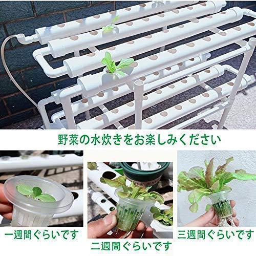水耕栽培キット 野菜 栽培キット すいこう栽培キット 室内 いちご 家庭菜園 108穴 ...