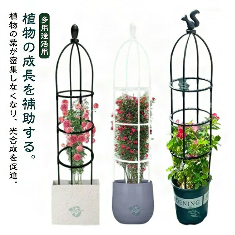 園芸用品 ガーデニング 金属製 支柱 簡易組立式 オベリスク つる性植物 バラ用 ト...