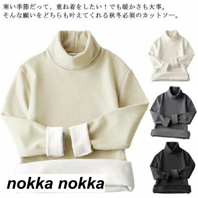 ター 防寒着 カットソー 冬 秋 春 ハイネック 肌着 tシャツ レディース 長袖 インナー 裏起毛