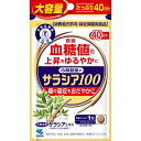 小林製薬 サラシア100 大容量(120粒/40日分)【メール便発送可】 3個以上は宅配便発送