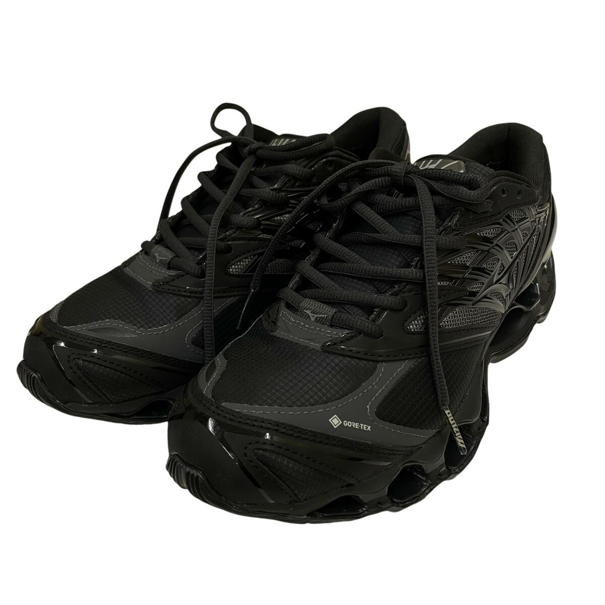 Rakuten - 【中古】MIZUNO　WAVE PROPHECY LS GTX ローカットスニーカー D1GA256001 ブラック サイズ：25 【090626】（ミズノ）