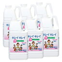 【手洗い洗剤】キレイキレイ薬用泡ハンドソープ2L×6本(ケース販売)
