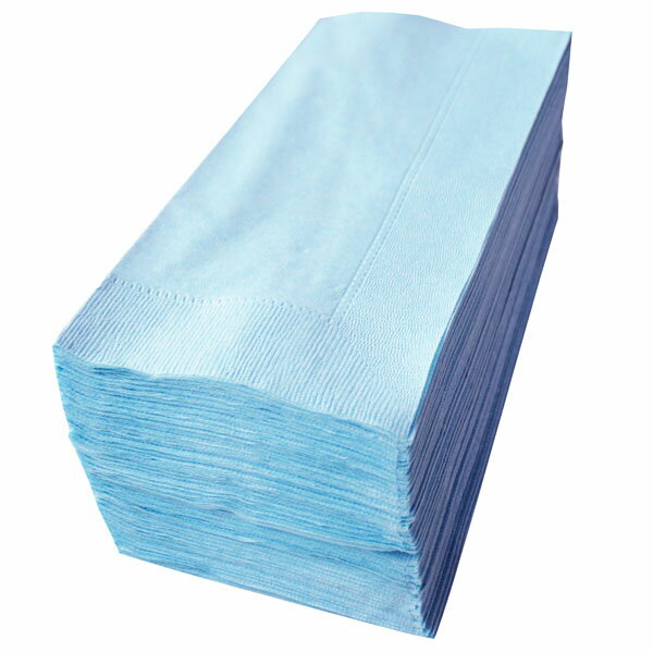 【紙ナプキン】8つ折り2PLYナプキン「ミズイロ」（10パック500枚）