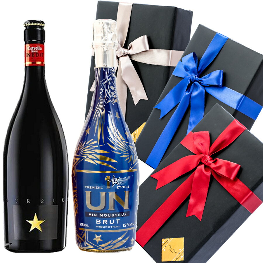 プレゼント ラッピング お酒 おしゃれ ホワイトデー ギフトイネディット アン プルミエール エトワール ブリュット 光るボトル LED付 ルミナス 2本セット 高級 ビール 金賞 飲み比べ スパークリングワイン #giftw178 alc