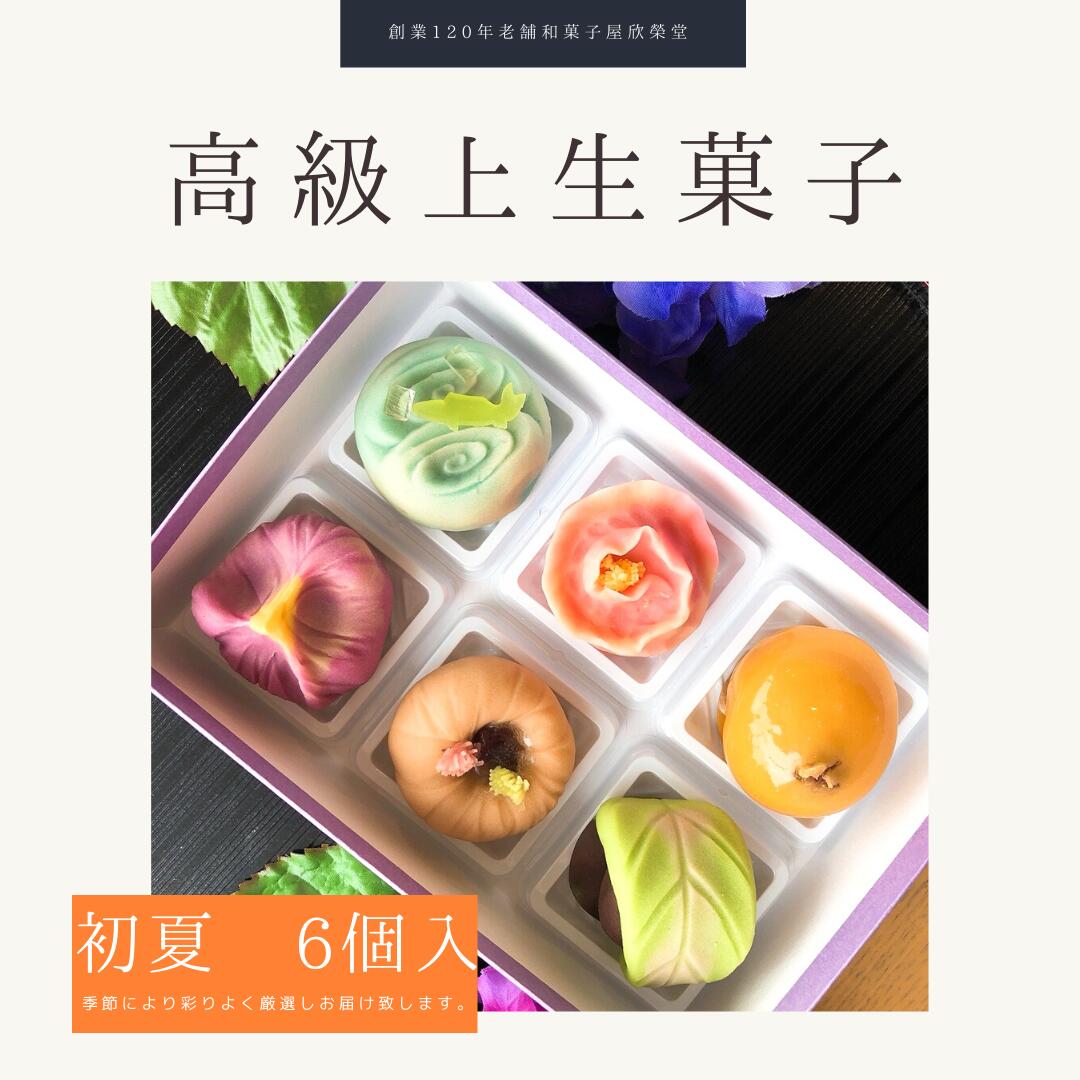 上生菓子 【 初夏 】6個入 冷凍 高級 上生菓子 練り切り 期間限定 個包装 送料無料 お中元 お供 敬老の日 七五三