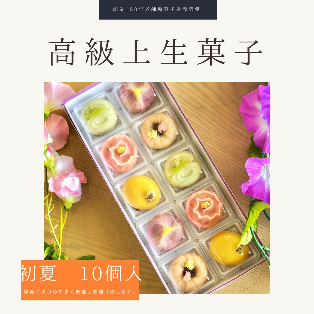 上生菓子 【 初夏 】10個入 冷凍 高級 上生菓子 練り切り 期間限定 個包装 送料無料 お中元 お供 敬老の日 七五三