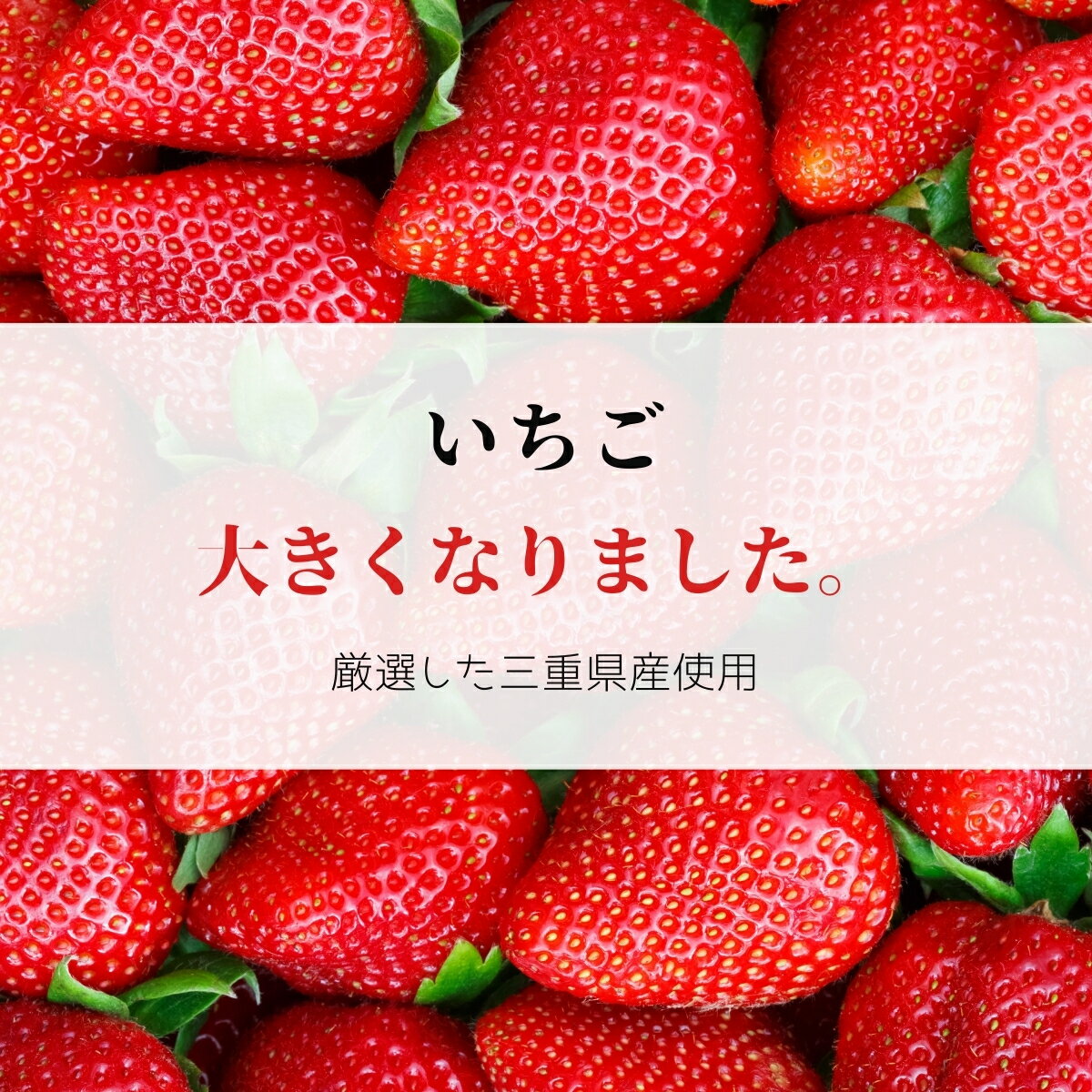 6個【期間限定】いちご大福 白あん お取り寄せ 個包装 母の日 手作り お正月 バレンタイン ホワイトデー