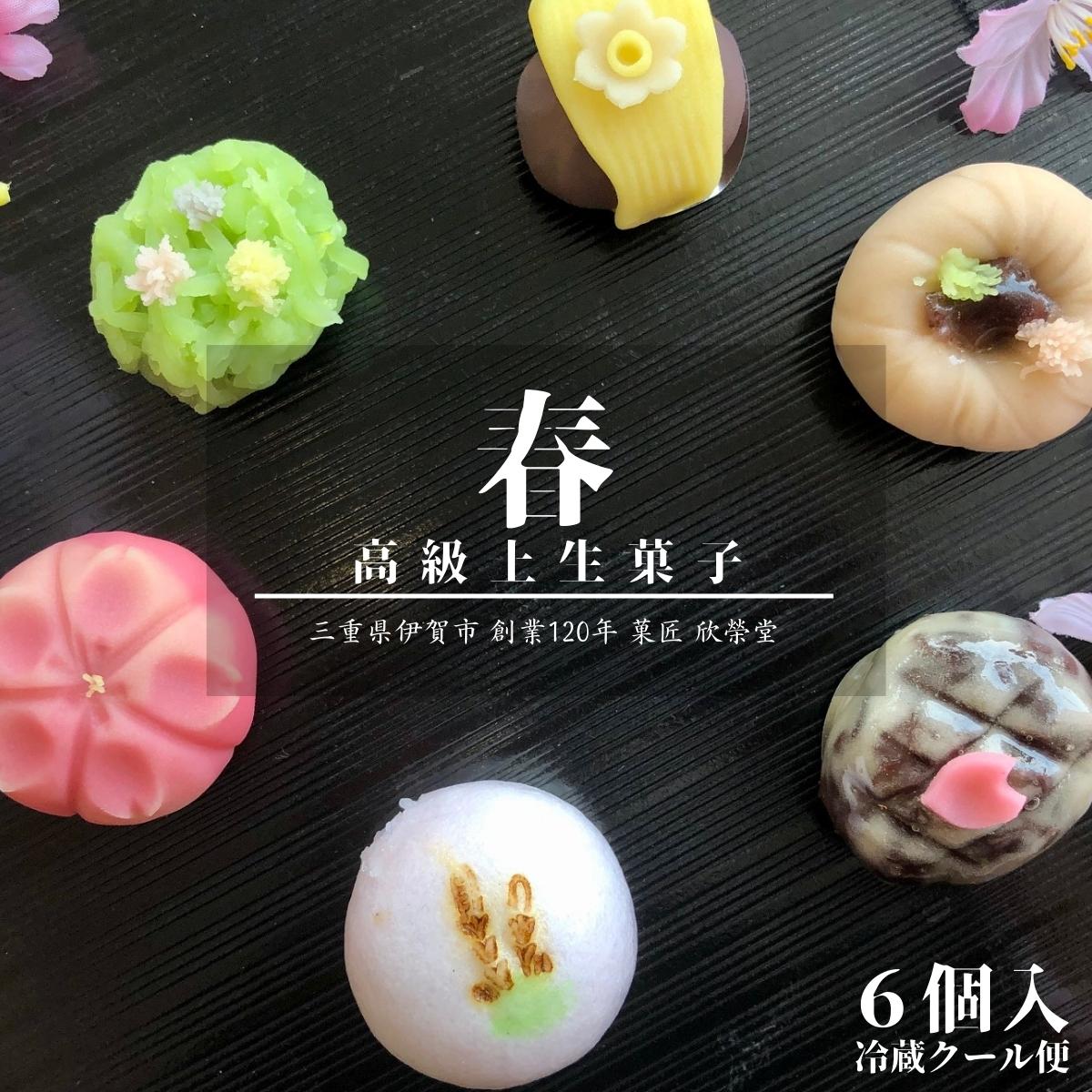 上生菓子 【 春 】6個入 冷凍 高級 上生菓子 練り切り 期間限定 個包装 送料無料 お中元 お供 敬老の日 七五三 手作り お正月 バレンタイン ホワイトデー