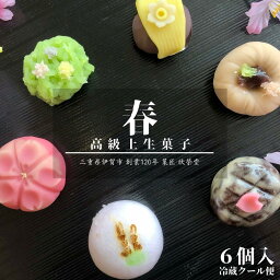 ねりきり 【 春 】6個入 冷凍 高級 上生菓子 練り切り 期間限定 個包装 送料無料 お中元 お供 敬老の日 七五三 手作り お正月 バレンタイン ホワイトデー