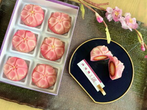 【 上生菓子 いちご桜 】6個入 苺 練り切り お取り寄せ 個包装 送料無料