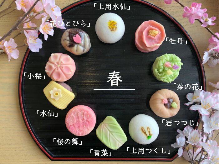 【 春 】10個入 高級 上生菓子 練り切り 期間限定 お取り寄せ 個包装 送料無料