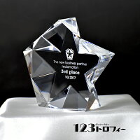 表彰用品 輸入トロフィー アクリルアワード アクリルアワード ペンタゴンスター