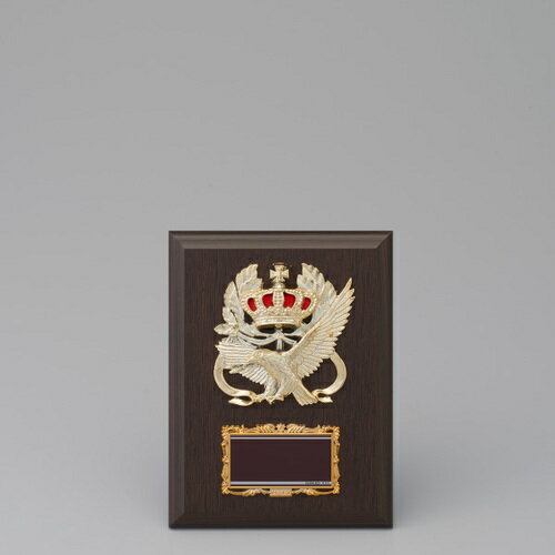 表彰楯(表彰盾) ワシ 84AT-3426E ★高さ180mm 《#B23》