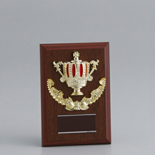 表彰楯(表彰盾) 王冠 84AT-3442D ★高さ160mm 《#B23》