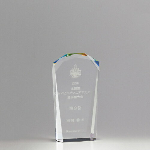 【版代別途必要】光学ガラス製オーナメント 84J58-01C ★高さ130mm