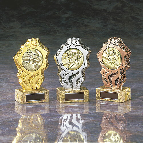 フリーセレクショントロフィー BRZ-2661 ★高さ160mm 《#B26》