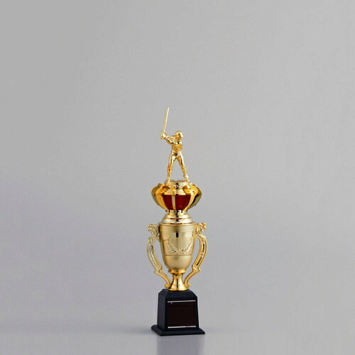 トロフィー 84TR-3309I ★高さ300mm 《#B17》