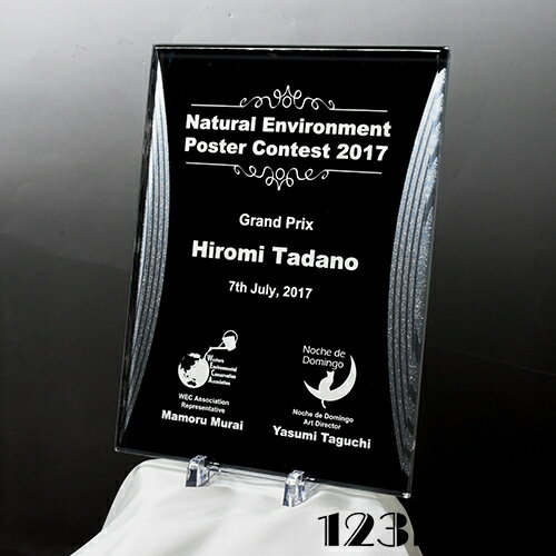 リフレクションプラークス シルバー＆ブラック 【Lサイズ】