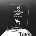 盾 楯 表彰楯 賞品 優勝楯 アクリルプラーク(表彰楯) アクリルプレート サイズS