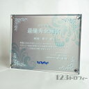 アクリルプレート+アルミカラー転写楯 サイズL(幅270mm)