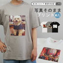 【ネコポス便送料無料 プレゼント ギフト】 名入れ 写真がそのままTシャツ M/L ki91 結婚祝い 名前入り 半袖シャツ シャツ レディース メンズ 記念品 誕生日 おしゃれ プリント 母親 父親 記念 退職祝い 最速