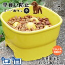 送料無料 早食い防止 高台カラーフードボウル 【中】 全10色 pet110 あす楽 | フードボウル 高さがある 早食い防止フードボウル 犬 猫 ペット 食器 陶器 日本製 おしゃれ かわいい 餌入れ 餌皿 水飲み 給水器 皿 犬用 猫用 食器 中型犬 小型犬