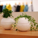 Original Rose×Kinetics BASKETBALL PLANTER(NATURAL)(オリジナルローズ x キネティクス バスケットボール プラ...