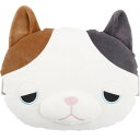 【クーポン最大600円OFF!】あす楽!!【送料無料】リラカ ネッククッション ゆず 17901-10 りぶはあと 正規品 RELACA 首クッション 首サポー...