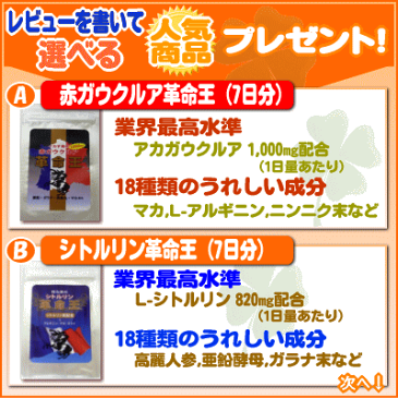 【送料無料】シトルリン革命王 60日分（2本セット）＋7日分（便利なジッパー付アルミ袋入）プレゼント！ L-シトルリン L-アルギニン マカ ソフォン 亜鉛 ガラナ等 嬉しい18種類配合サプリメント【期間限定！豪華！プレゼント付き！】