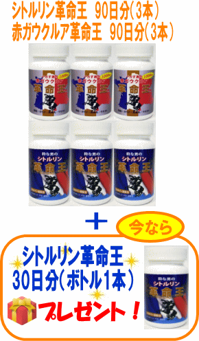 シトルリン革命王+赤ガウクルア革命王　各90日分（各3本セット）+シトルリン革命王30日分（1本）プレゼント！ 【更に！レビューを書くと！Wプレゼントに！】アルギニン ソフォン マカ 亜鉛 サプリ【送料無料】【期間限定！豪華！プレゼント付き！】