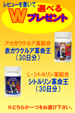 【クーポン最大600円OFF!】【送料無料】アルギニン シトルリン シトルリン革命王+赤ガウクルア革命王 各60日分(各2本セット)+各7日分(ジッパー付アルミ袋入)プレゼント! アルギニン ソフォン マカ 亜鉛 サプリ