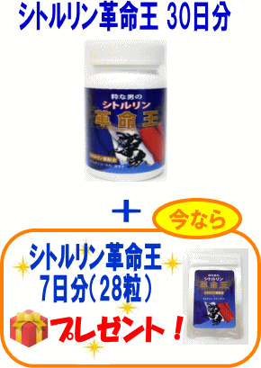 シトルリン革命王 30日分（1本）＋7日分（便利なジッパー付アルミ袋入）プレゼント！ L-シトルリン L-アルギニン マカ ソフォン 亜鉛 ガラナ等 嬉しい18種類配合サプリメント【期間限定！豪華！プレゼント付き！】【送料無料】